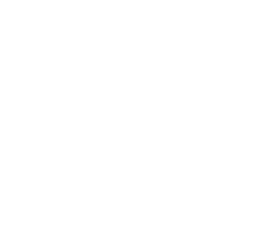 FULLY TRAINED MECHANIC