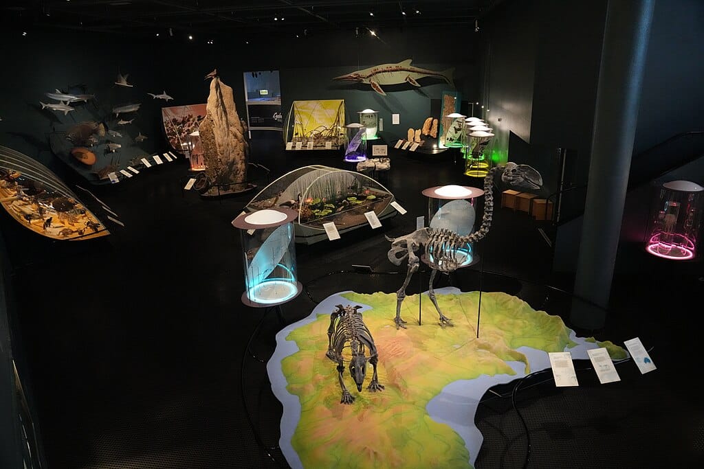 Some of the exhibits in The Museum and Art Gallery of the Northern Territory at Darwin