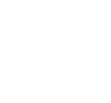 TOP-SERVICE.png